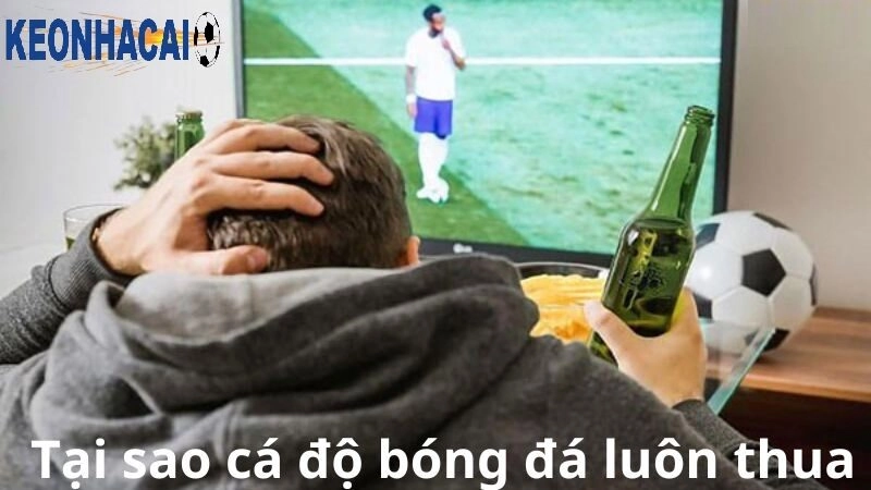 Vì sao cá độ bóng đá luôn thua nhà cái? Góc nhìn thẳng thắn từ người chơi